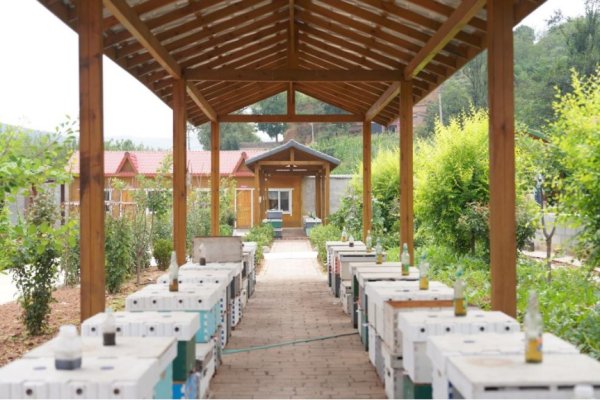 专业的股票门户网站 山西沁水县让“甜蜜事业”扎根绿色沃土